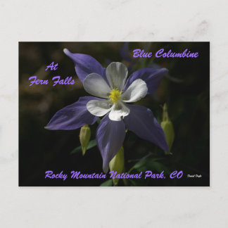 Blue Columbine op Herfsten van Fern Briefkaart
