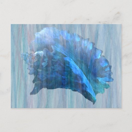 Blue Conch Seashell Art Briefkaart (Voorkant)