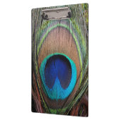 Blue Copper Peacock Feather Close-up Klembord (Links)