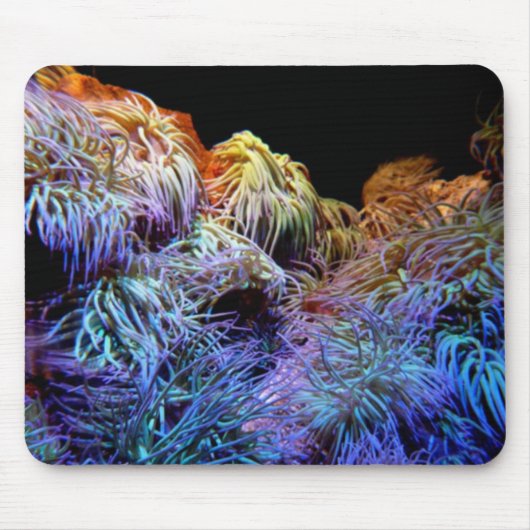 Blue Coral Mousepad Muismat (Voorkant)