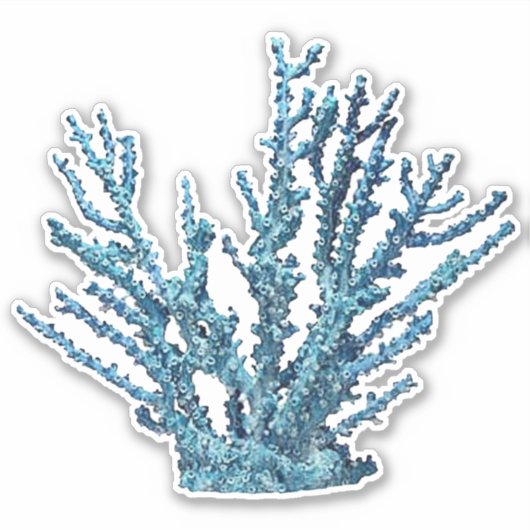 Blue Coral Sticker (Voorkant)