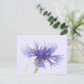 Blue Cornflower Foto - Briefkaart (Staand voorkant)