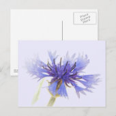 Blue Cornflower Foto - Briefkaart (Voorkant / Achterkant)