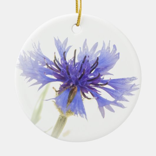 Blue Cornflower Foto - Keramisch Ornament (Voorkant)