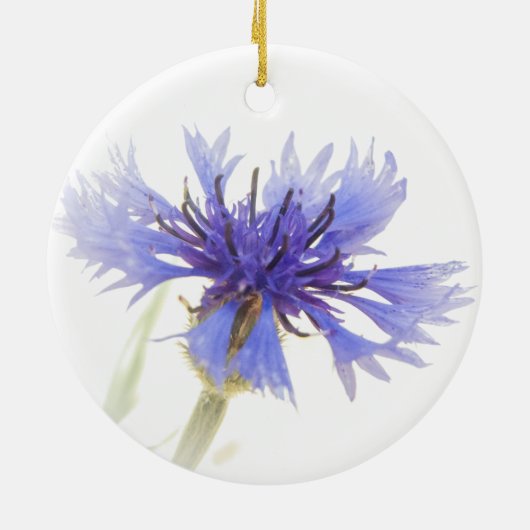 Blue Cornflower Foto - Keramisch Ornament (Achterkant)
