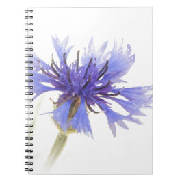 Blue Cornflower Foto - Notitieboek