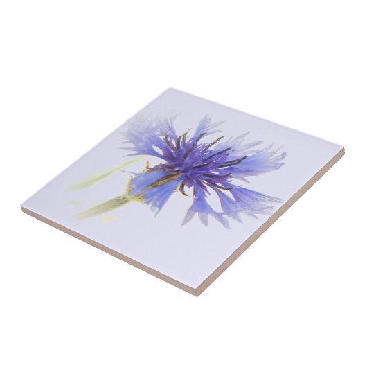 Blue Cornflower Foto - Tegeltje (Zijkant)
