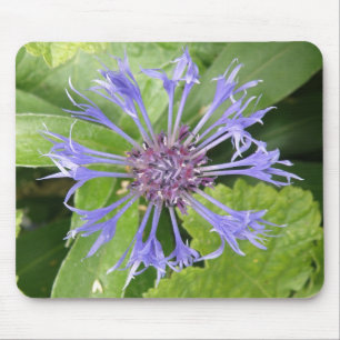 Blue Cornflower Mousepad Muismat