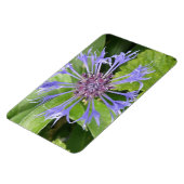 Blue Cornflower Premium Magnet Magneet (Linkerzijde)