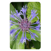 Blue Cornflower Premium Magnet Magneet (Verticaal)