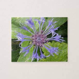 Blue Cornflower Puzzle Legpuzzel