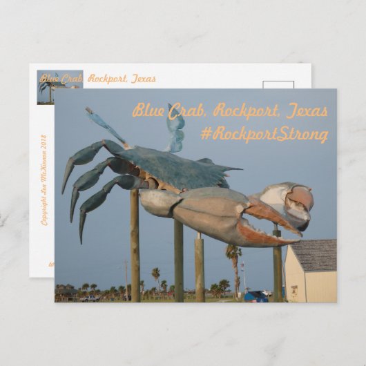 Blue Crab - Rockport, Texas Briefkaart (Voorkant / Achterkant)