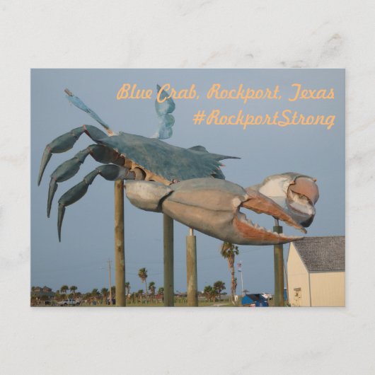 Blue Crab - Rockport, Texas Briefkaart (Voorkant)