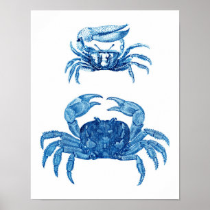 Blue Crabs Coastal Decor Art Print no.3