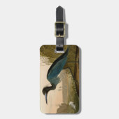 Blue Crane Heron Audubon Painting Bagagelabel (Voorkant verticaal)