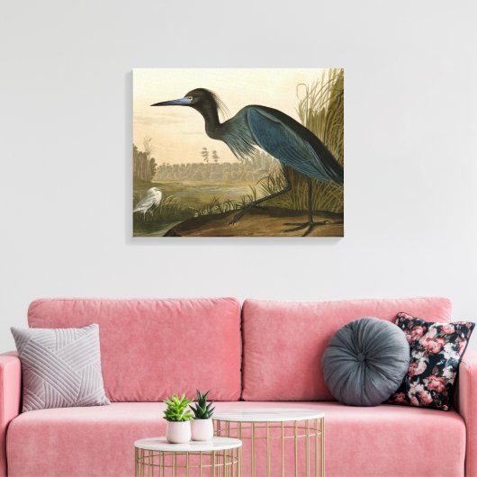 Blue Crane Heron Audubon Painting Canvas Afdruk (Insitu (Woonkamer))