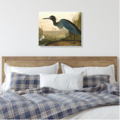 Blue Crane Heron Audubon Painting Canvas Afdruk (Insitu (Slaapkamer))
