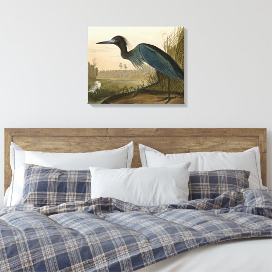 Blue Crane Heron Audubon Painting Canvas Afdruk (Insitu (Slaapkamer))