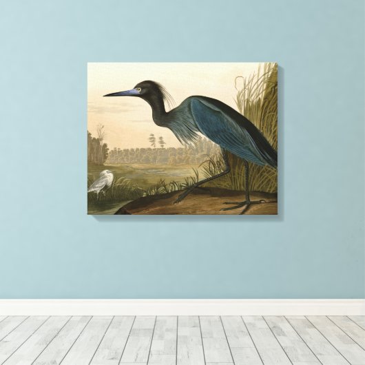 Blue Crane Heron Audubon Painting Canvas Afdruk (Insitu (Houten vloer))