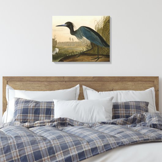 Blue Crane Heron Audubon Painting Canvas Afdruk (Insitu (Slaapkamer))