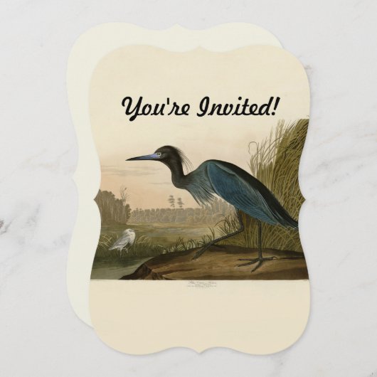 Blue Crane Heron Audubon Painting Kaart (Voorkant / Achterkant)