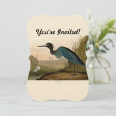 Blue Crane Heron Audubon Painting Kaart (Staand voorkant)