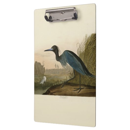 Blue Crane Heron Audubon Painting Klembord (Links)