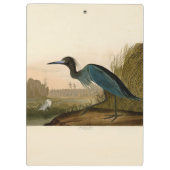 Blue Crane Heron Audubon Painting Klembord (Achterkant)