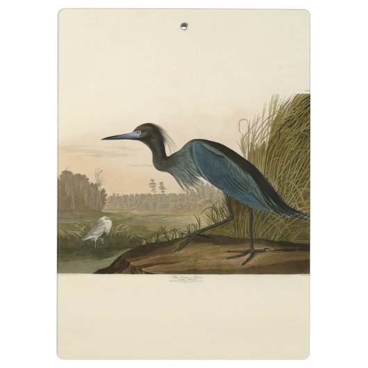 Blue Crane Heron Audubon Painting Klembord (Achterkant)