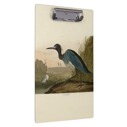 Blue Crane Heron Audubon Painting Klembord (Rechts)