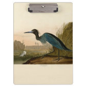 Blue Crane Heron Audubon Painting Klembord (Voorkant)