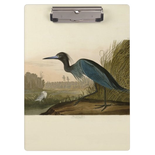 Blue Crane Heron Audubon Painting Klembord (Voorkant)
