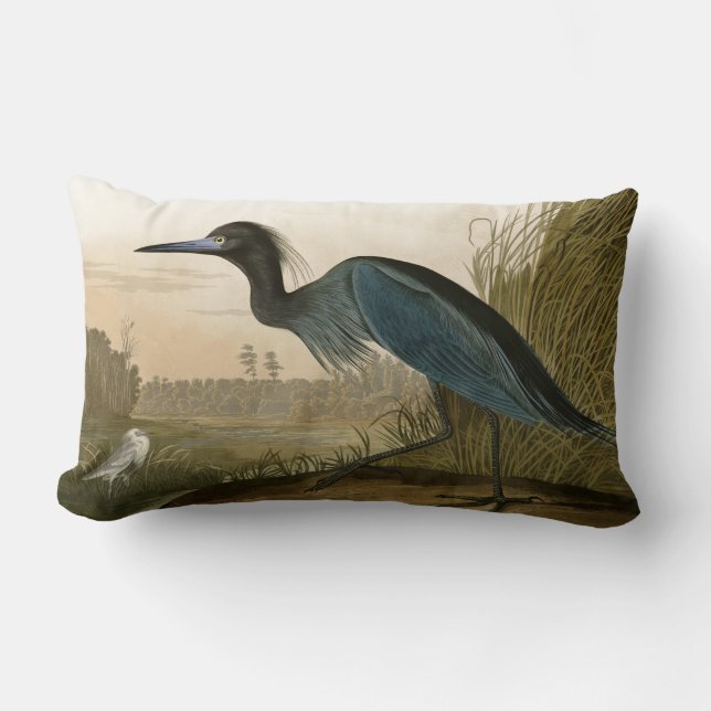 Blue Crane Heron Audubon Painting Kussen (Voorkant)