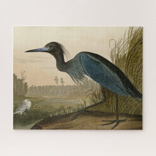 Blue Crane Heron Audubon Painting Legpuzzel (Horizontaal)