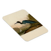 Blue Crane Heron Audubon Painting Magneet (Rechterzijde)
