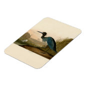 Blue Crane Heron Audubon Painting Magneet (Linkerzijde)