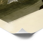 Blue Crane Heron Audubon Painting Perfect Poster (Hoek)