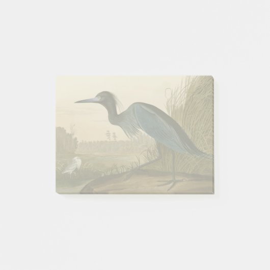 Blue Crane Heron Audubon Painting Post-it® Notes (Voorkant)