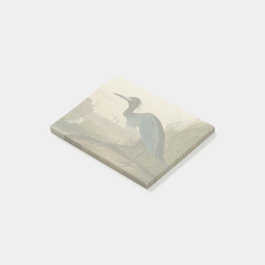 Blue Crane Heron Audubon Painting Post-it® Notes (Schuin)