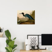Blue Crane Heron Audubon Painting Poster (Thuiskantoor)