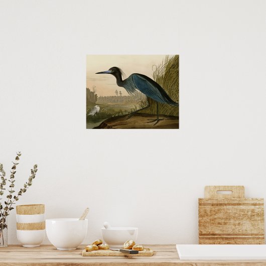 Blue Crane Heron Audubon Painting Poster (Keuken)