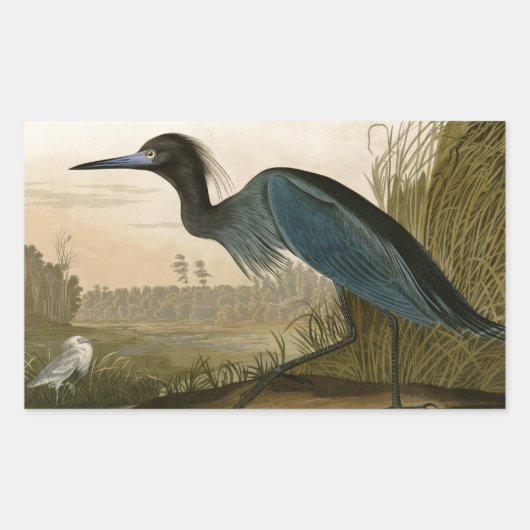Blue Crane Heron Audubon Painting Rechthoekige Sticker (Voorkant)