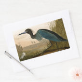 Blue Crane Heron Audubon Painting Rechthoekige Sticker (Envelop)