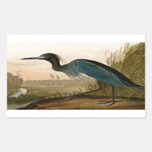 Blue Crane Heron Audubon Painting Rechthoekige Sticker