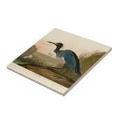 Blue Crane Heron Audubon Painting Tegeltje (Zijkant)