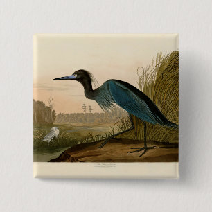 Blue Crane Heron Audubon Painting Vierkante Button 5,1 Cm