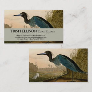 Blue Crane Heron Audubon Painting Visitekaartje
