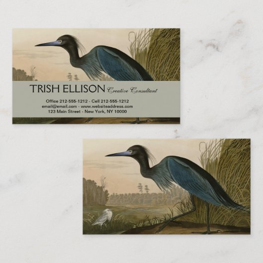 Blue Crane Heron Audubon Painting Visitekaartje (Voorkant / Achterkant)
