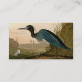 Blue Crane Heron Audubon Painting Visitekaartje (Achterkant)