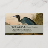 Blue Crane Heron Audubon Painting Visitekaartje (Voorkant)